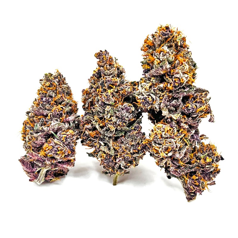 Tarmac CBD Indoor – Fleur primée | Haut de gamme