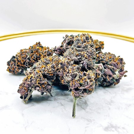 Tarmac CBD Indoor – Fleur primée | Haut de gamme