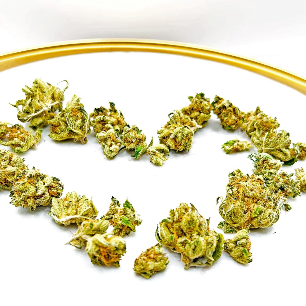 Lemon Grace – Meilleure fleur de CBD Indoor France 2025