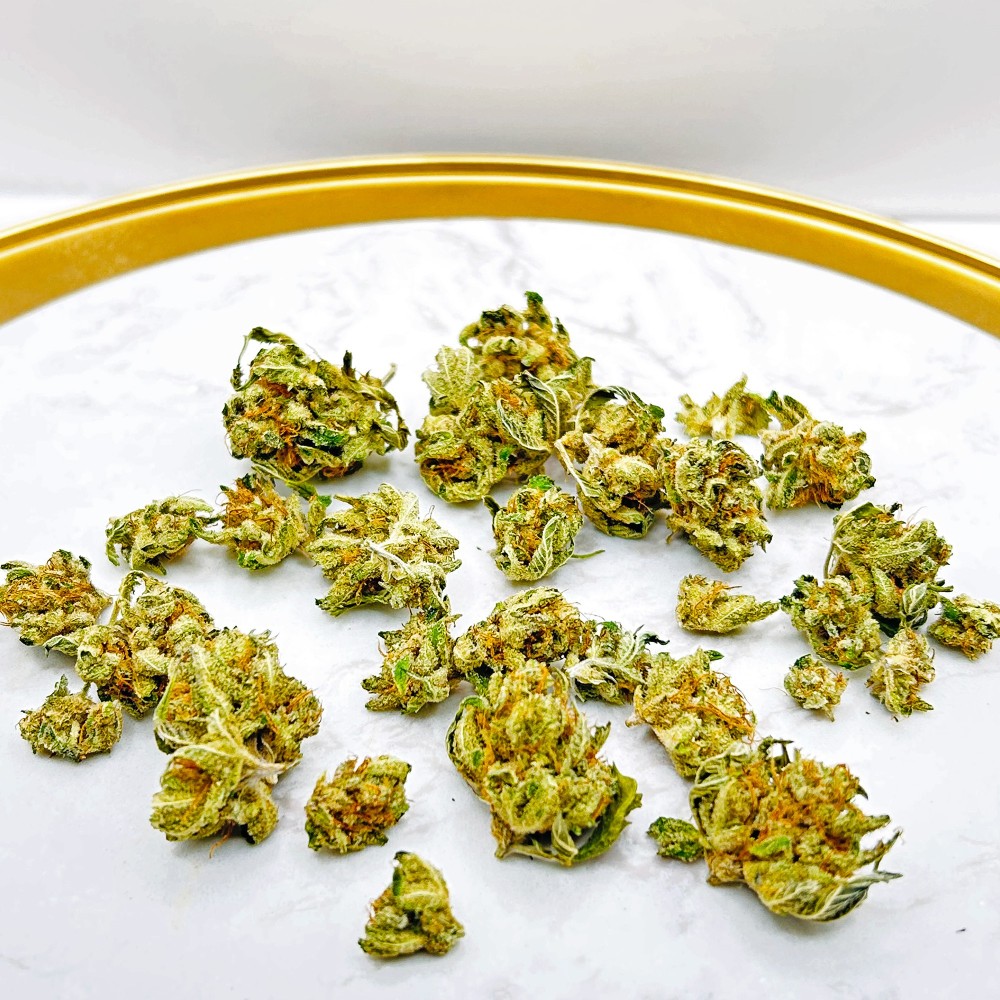 Lemon Grace – Meilleure fleur de CBD Indoor France 2025