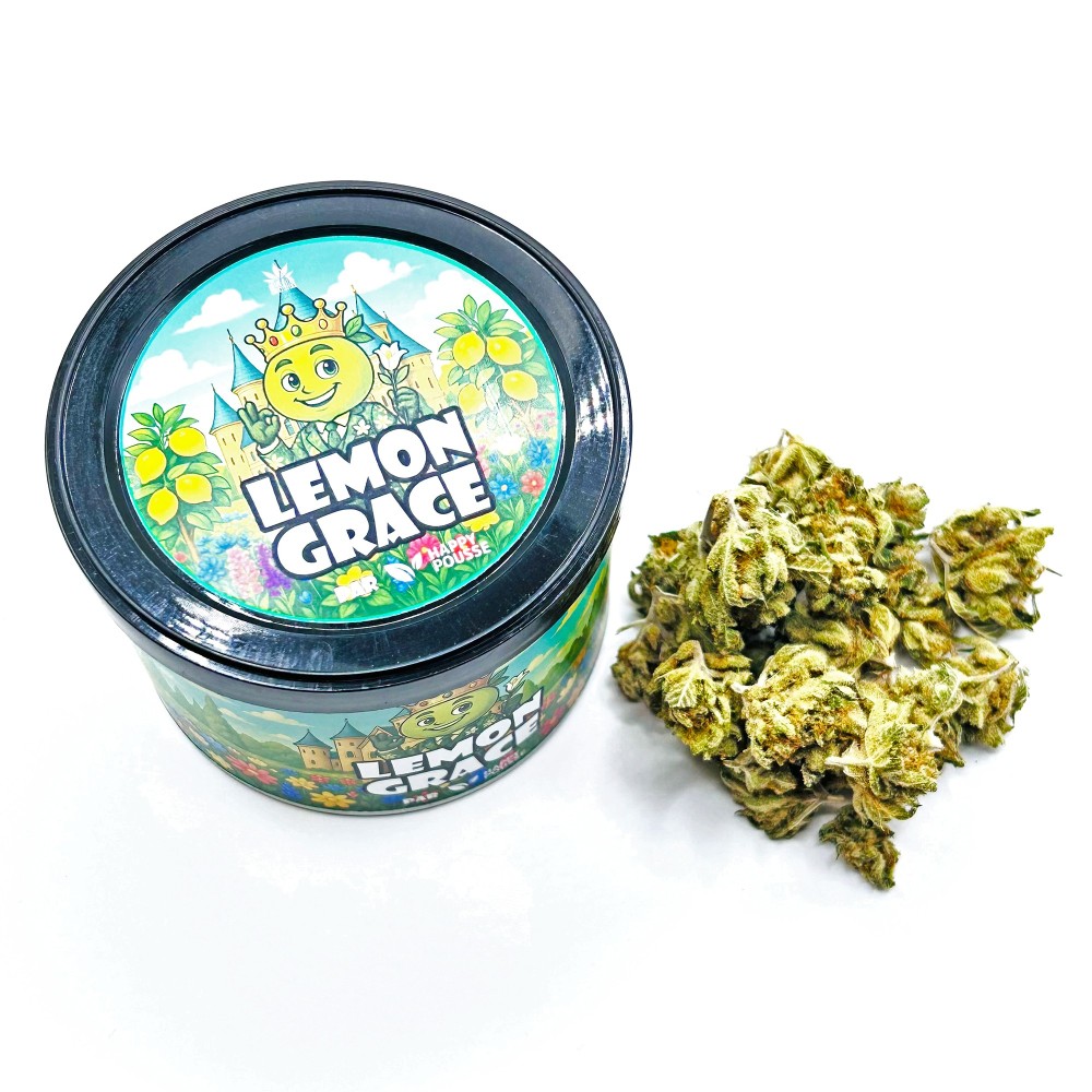 Lemon Grace – Meilleure fleur de CBD Indoor France 2025