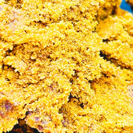 Le Filtré CBD - Hash de CBD | Livraison CBD Rapide