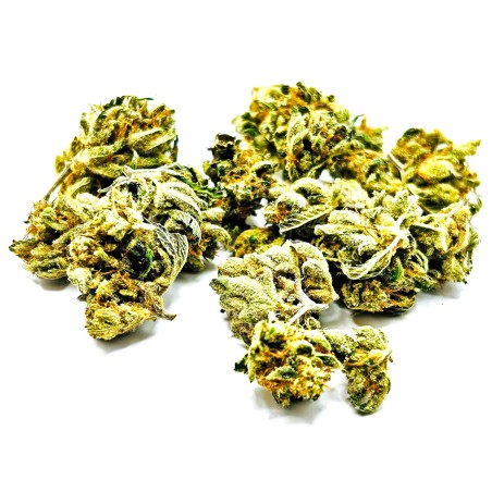 Lemon Grace – Meilleure fleur de CBD Indoor France 2025