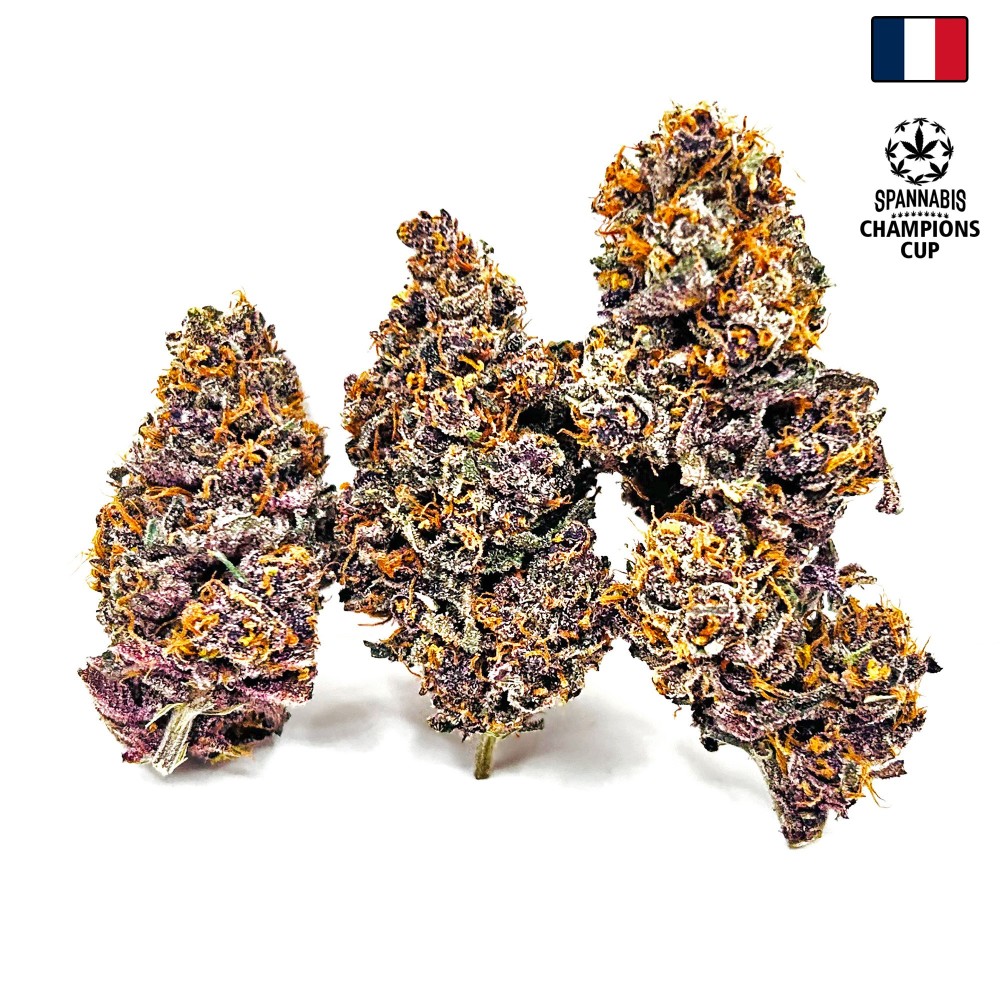 Tarmac CBD — Fleur primée à la Spannabis 2025