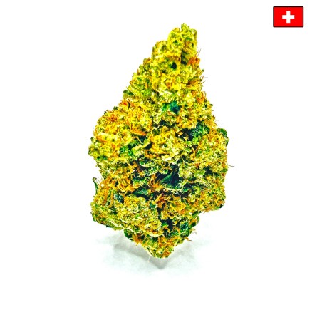 Amnesia Haze CBD | Livraison Rapide en France & Paris
