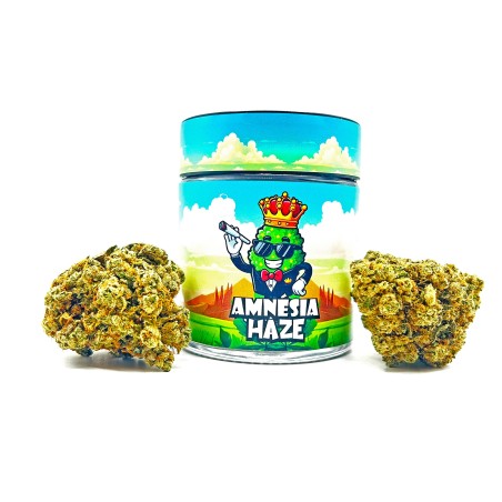 Amnesia Haze CBD | Livraison Rapide en France & Paris