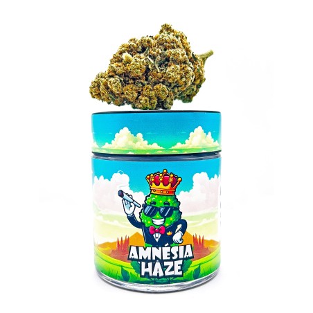Amnesia Haze CBD | Livraison Rapide en France & Paris