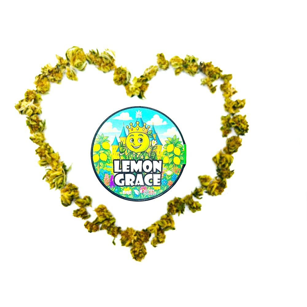Lemon Grace – Meilleure fleur de CBD Indoor France 2025