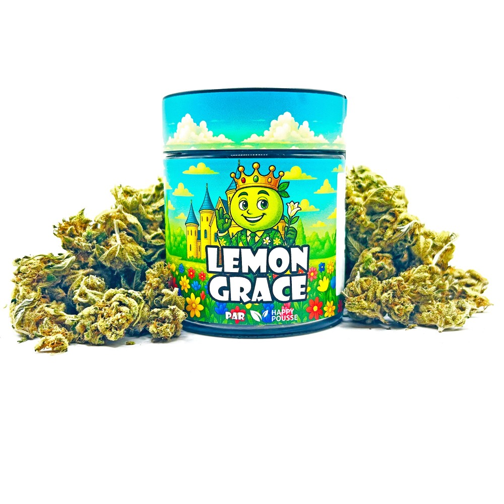 Lemon Grace – Meilleure fleur de CBD Indoor France 2025