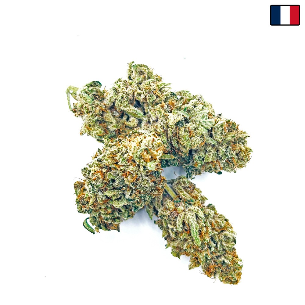KUSH OZ – Fleur de CBD Premium Kush