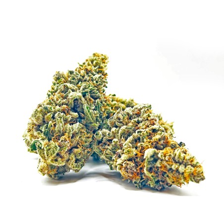 KUSH OZ – Fleur de CBD Premium Kush