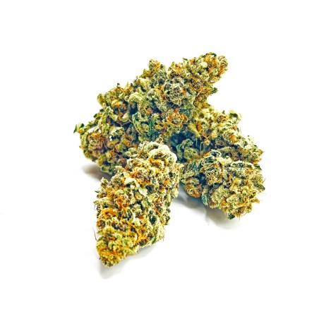 KUSH OZ – Fleur de CBD Premium Kush