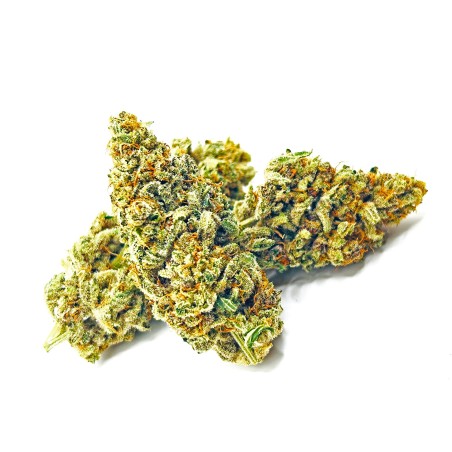 KUSH OZ – Fleur de CBD Premium Kush