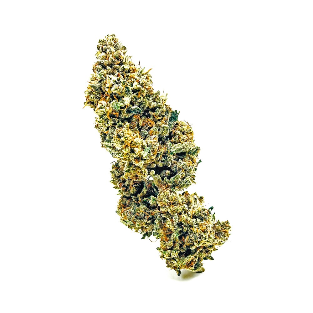 KUSH OZ – Fleur de CBD Premium Kush