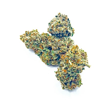 KUSH OZ – Fleur de CBD Premium Kush