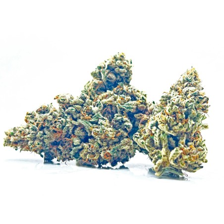 KUSH OZ – Fleur de CBD Premium Kush