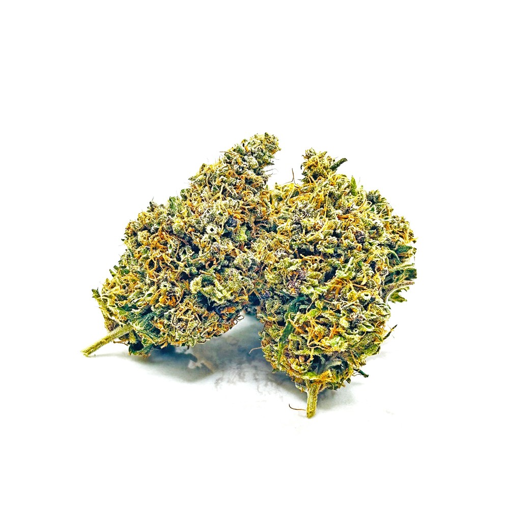 SIDDHARTHA QUEEN – Haze CBD premium Shao