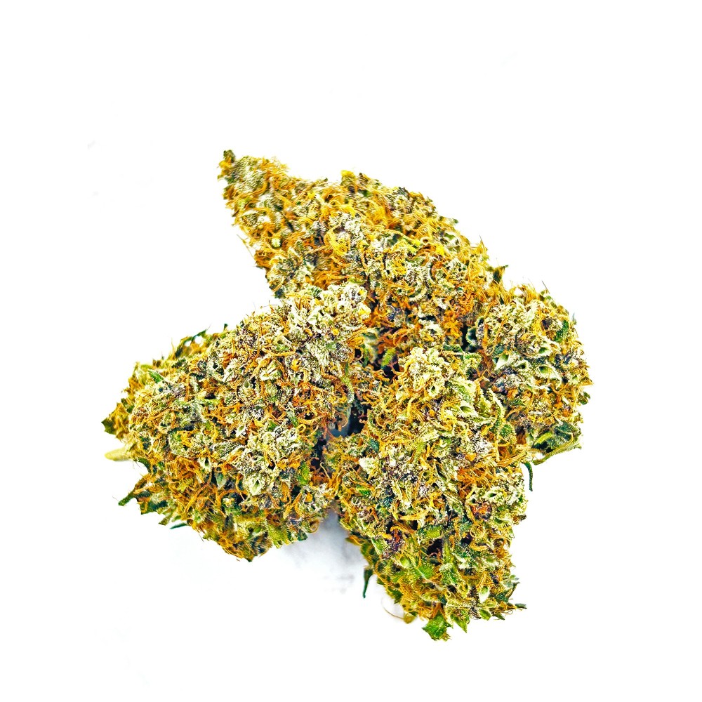 SIDDHARTHA QUEEN – Haze CBD premium Shao