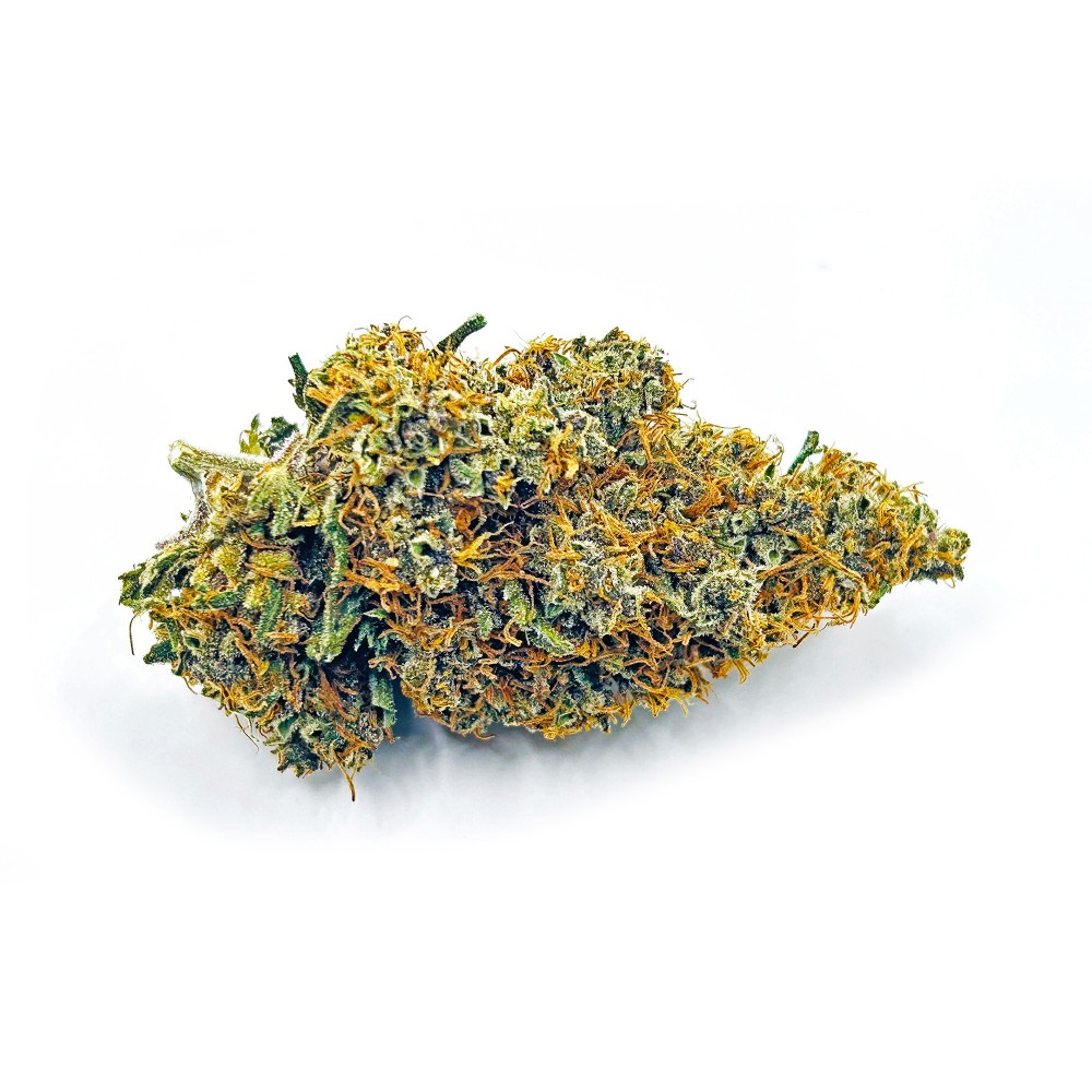 SIDDHARTHA QUEEN – Haze CBD premium Shao