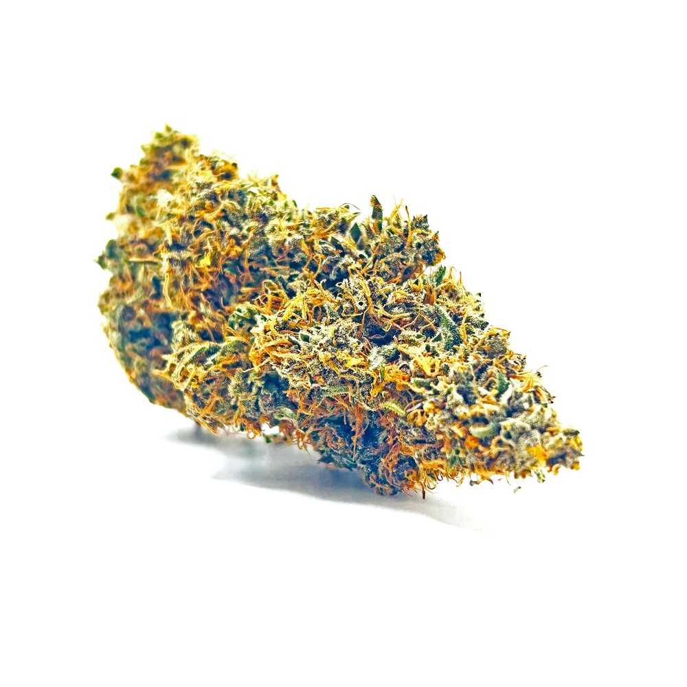 SIDDHARTHA QUEEN – Haze CBD premium Shao