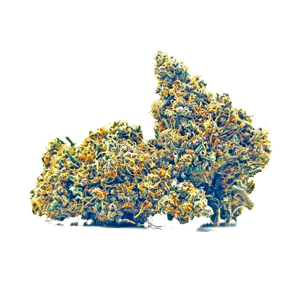 SIDDHARTHA QUEEN – Haze CBD premium Shao