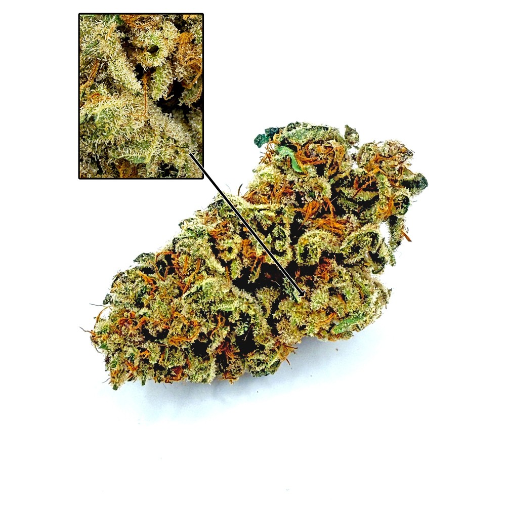 KUSH OZ – Fleur de CBD Premium Kush