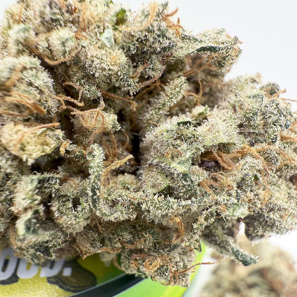 KUSH OZ – Fleur de CBD Premium Kush