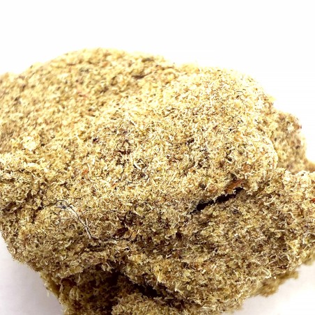 Tutti Frutti Hash CBD – El Professor x CBD Maker | DrySift