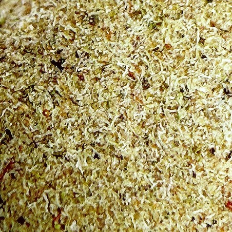 Tutti Frutti Hash CBD – El Professor x CBD Maker | DrySift