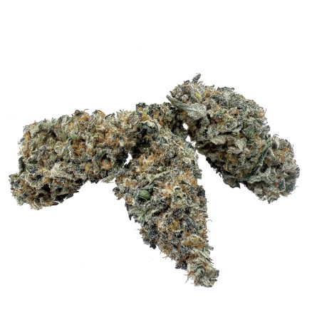 Legendary Skunk CBD – Fleur Premium Loud Co | 1ʳᵉ Spannabis 2025