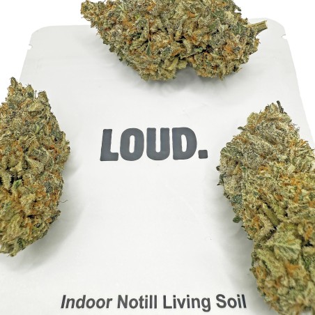 Legendary CBD – Fleur Premium Loud Co | 1ʳᵉ Spannabis 2025