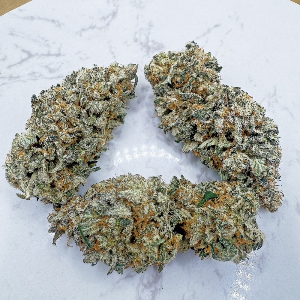 Legendary Skunk CBD – Fleur Premium Loud Co | 1ʳᵉ Spannabis 2025