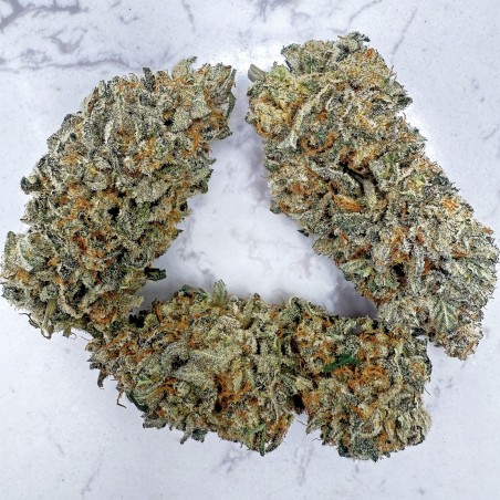 Legendary Skunk CBD – Fleur Premium Loud Co | 1ʳᵉ Spannabis 2025
