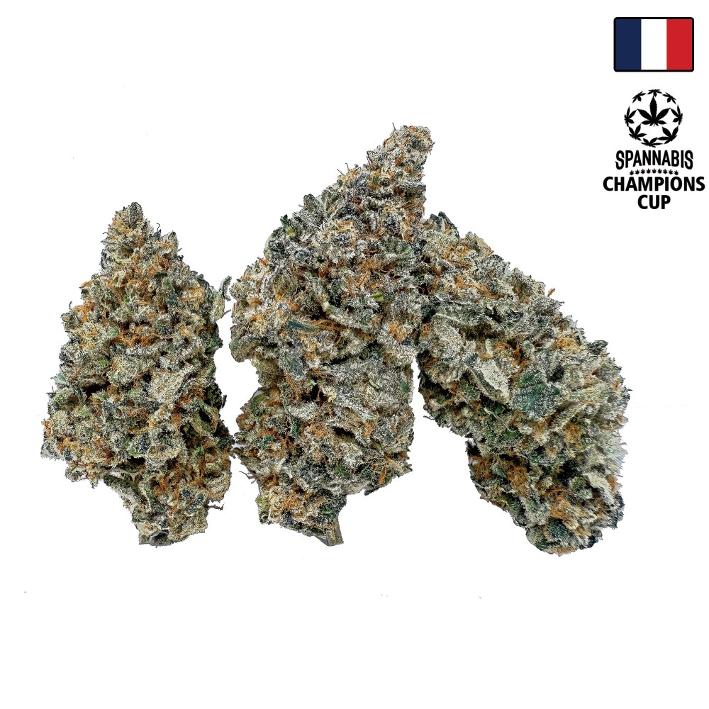 Legendary Skunk CBD – Fleur Premium Loud Co | 1ʳᵉ Spannabis 2025