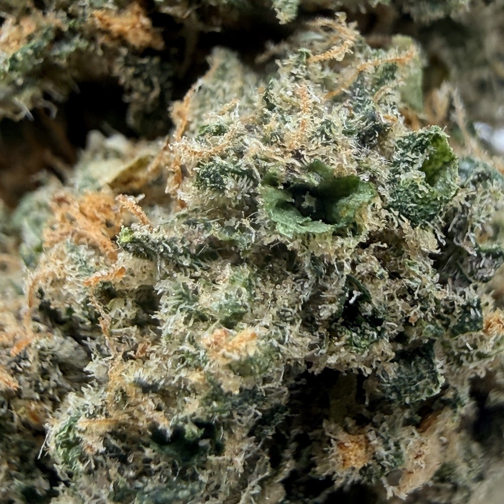 Fleur CBD SLURP | CBD Premium Indoor Weneedweed