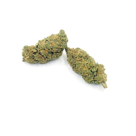 Fleur CBD SLURP | CBD Premium Indoor Weneedweed