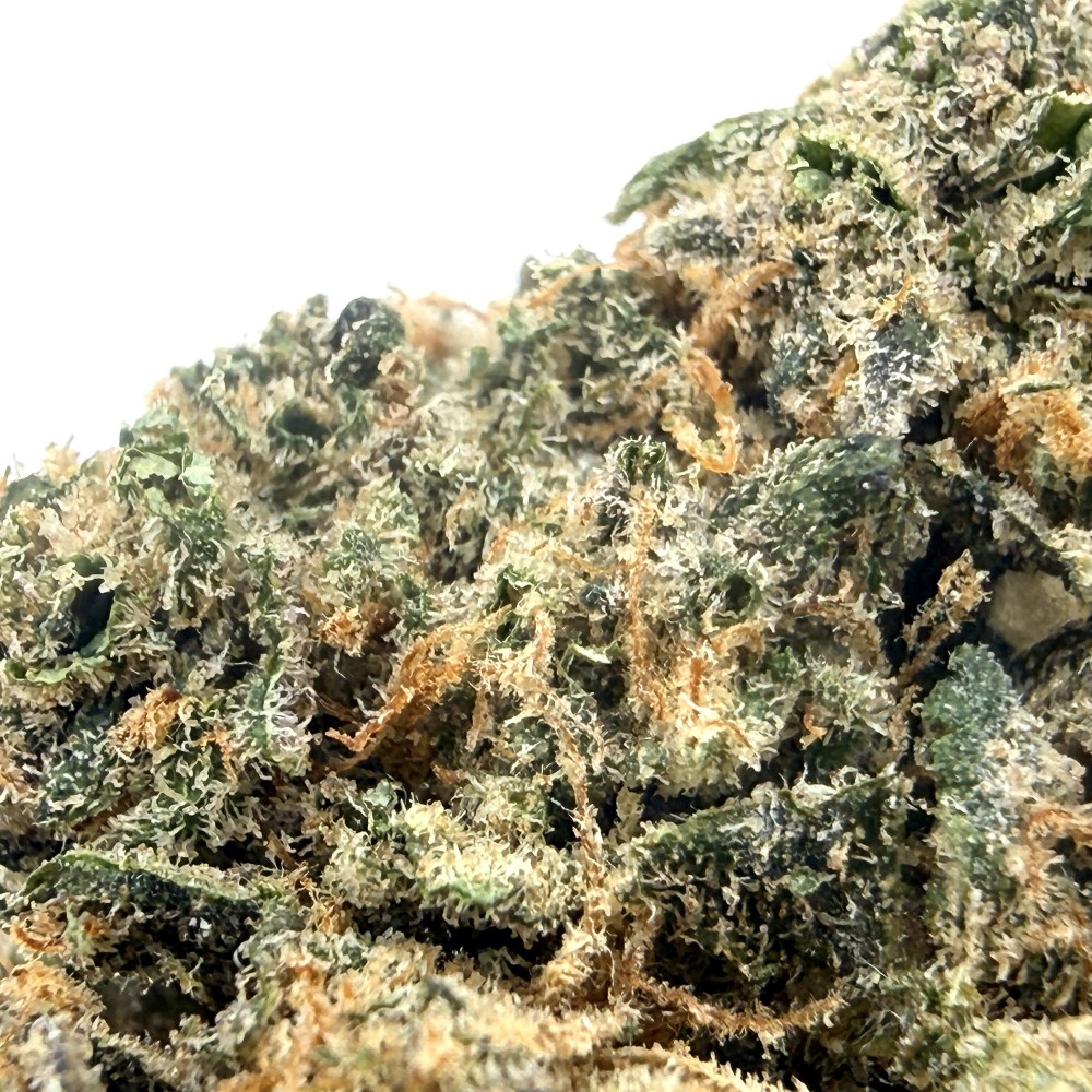 Fleur CBD SLURP | CBD Premium Indoor Weneedweed