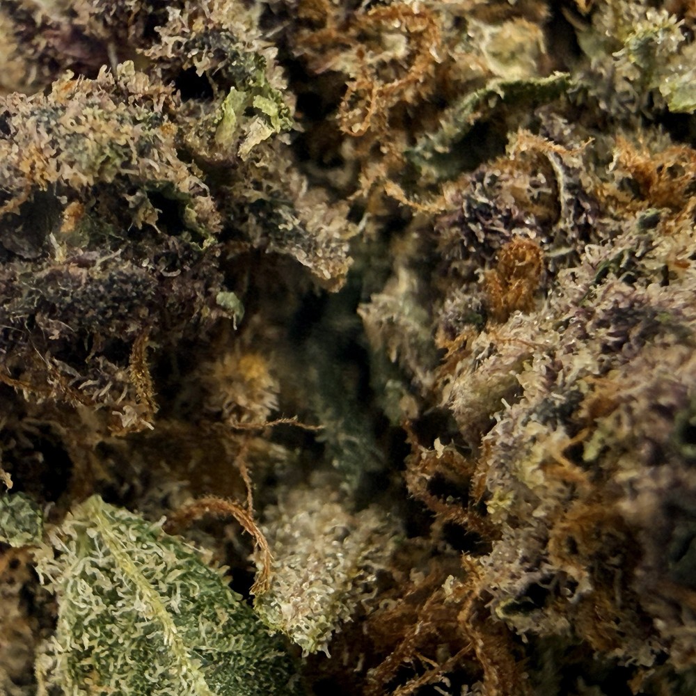 Fleur CBD Milka Pop | CBD Premium Indoor