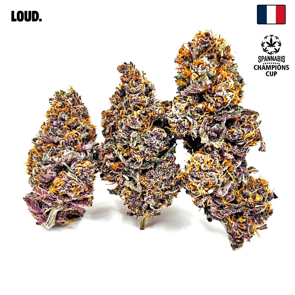 Tarmac CBD — Fleur primée à la Spannabis 2025