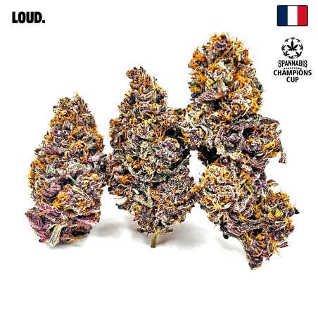 Tarmac CBD — Fleur primée à la Spannabis 2025