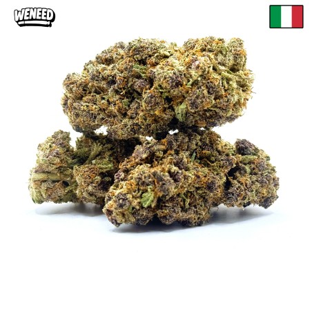 Fleur CBD Milka Pop | CBD Premium Indoor