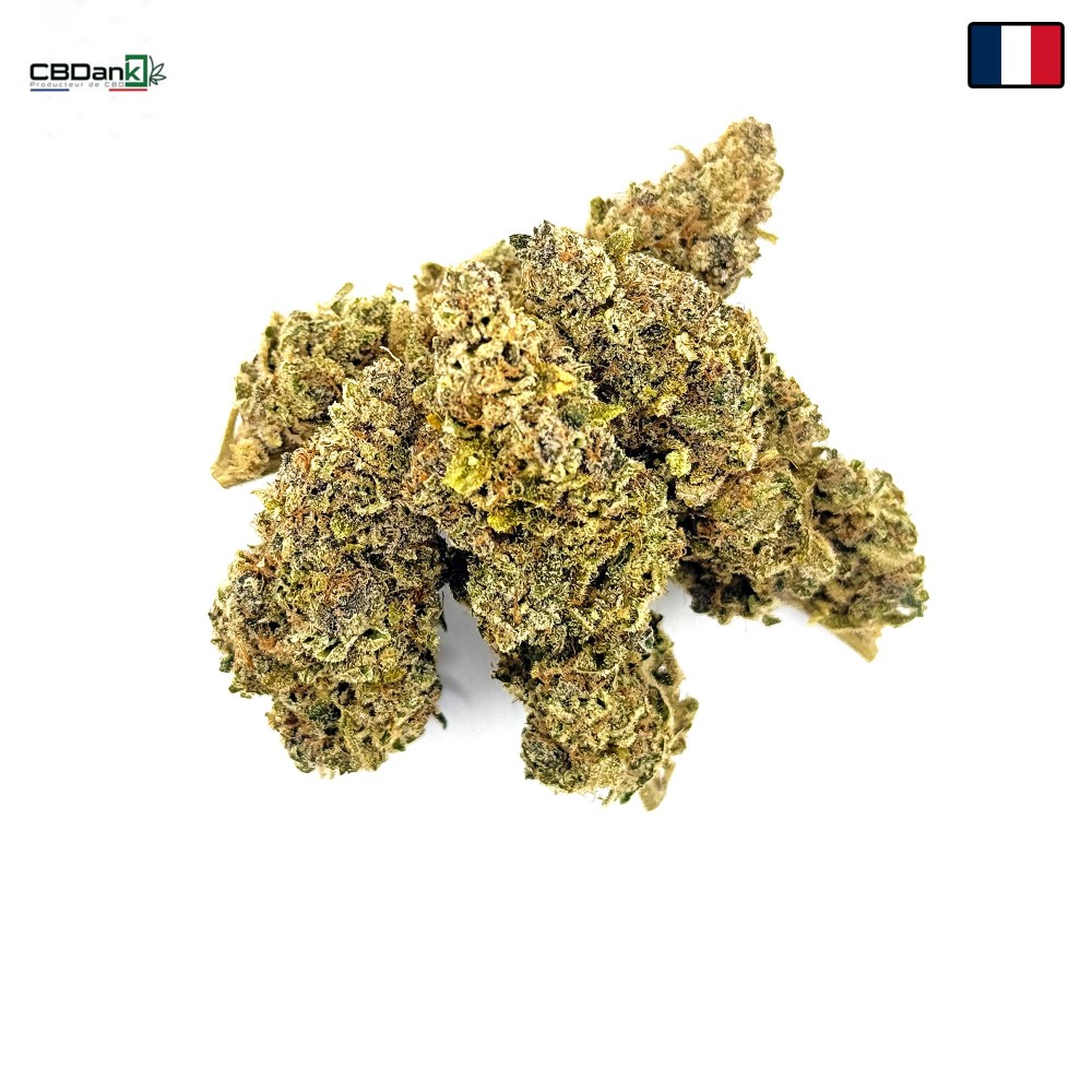 Zénythis CBDank | Fleur CBD Indoor Sol Vivant “Gazy”