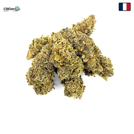 Zénythis CBDank | Fleur CBD Indoor Sol Vivant “Gazy”