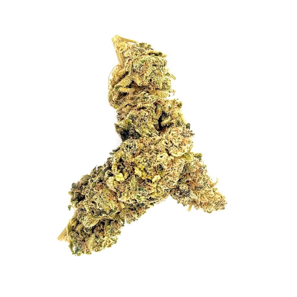 Zénythis CBDank | Fleur CBD Indoor Sol Vivant “Gazy”