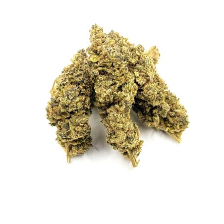 Zénythis CBDank | Fleur CBD Indoor Sol Vivant “Gazy”