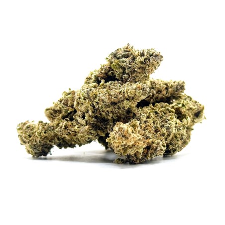 Zénythis CBDank | Fleur CBD Indoor Sol Vivant “Gazy”