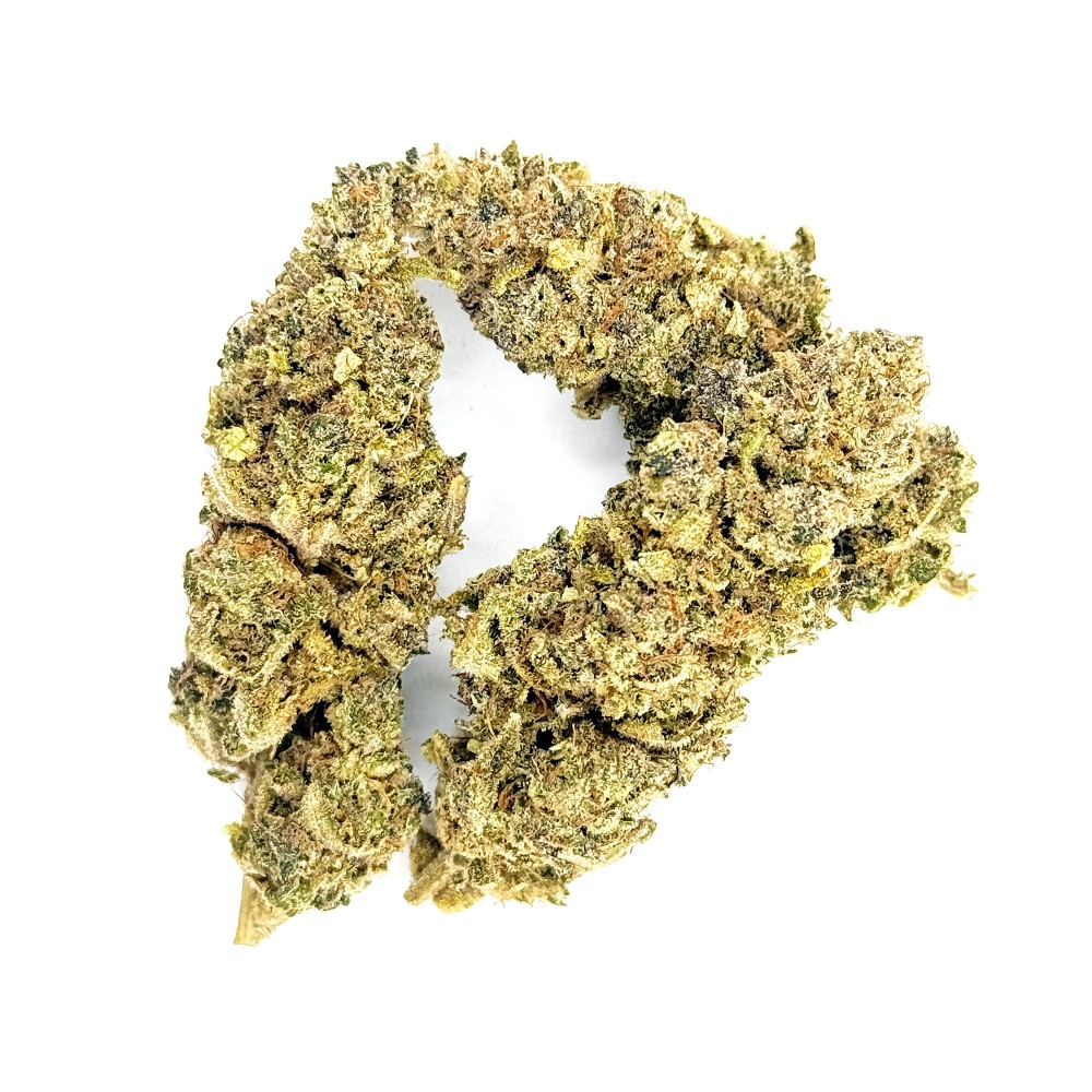 Zénythis CBDank | Fleur CBD Indoor Sol Vivant “Gazy”