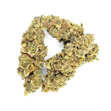 Zénythis CBDank | Fleur CBD Indoor Sol Vivant “Gazy”