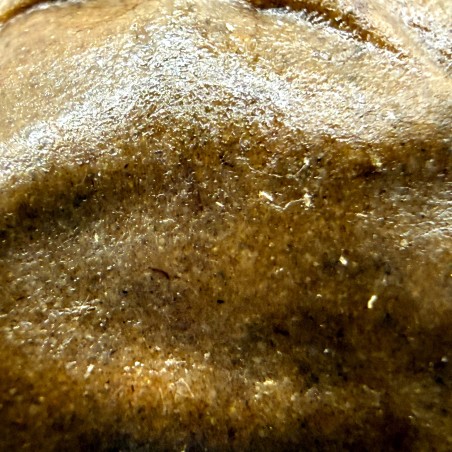 Fresh Frozen WPFF Nima Farm | Hash CBD Frozen