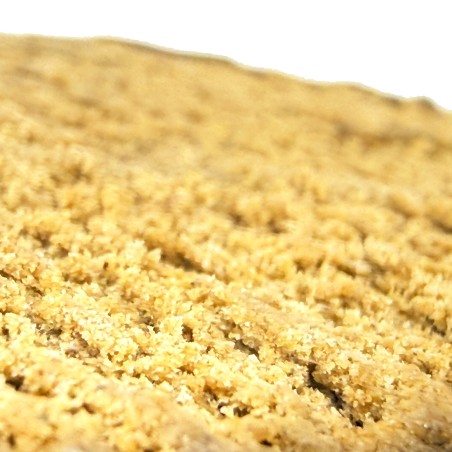 Fresh Frozen WPFF Nima Farm | Hash CBD Frozen